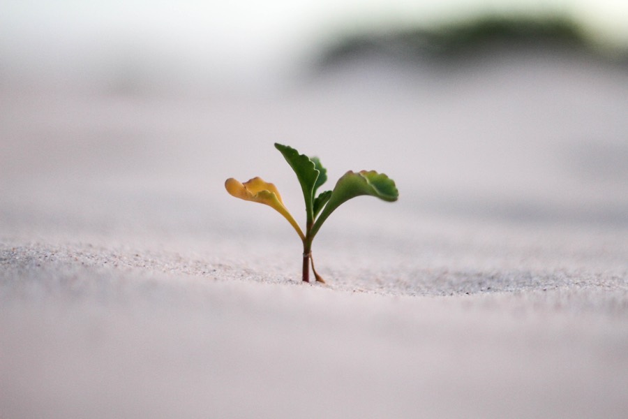 A new beginning...