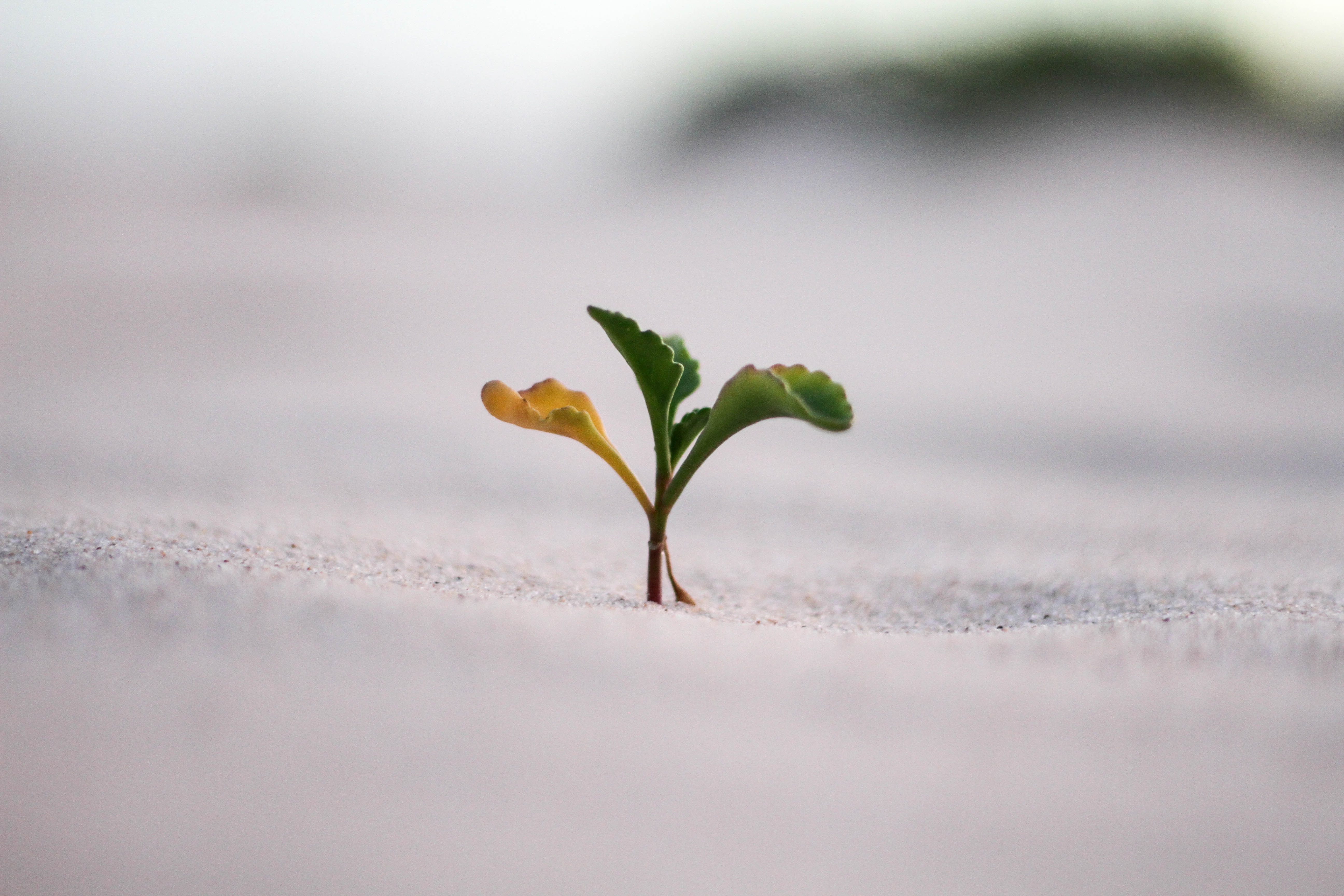 A new beginning...