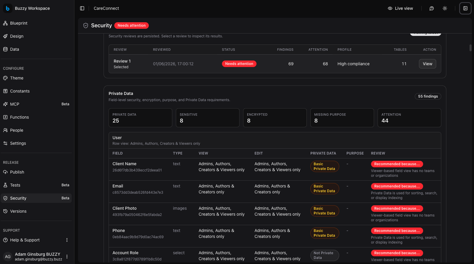 Buzzy security review screen showing findings for private data and field-level review recommendations.